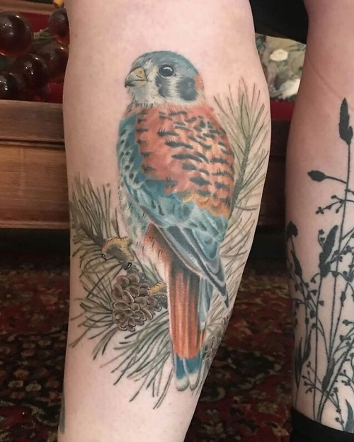 Where Nature Meets Skin The Timeless Bird Tattoos of Tara Morgan 696e0a825d9f6 jpeg 700.jpg