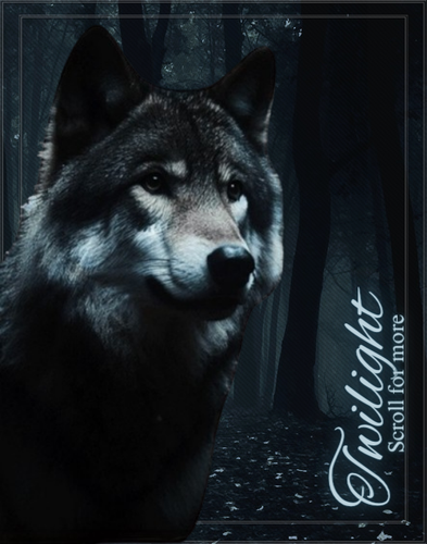 Twilight 20260717 131829 0000.png