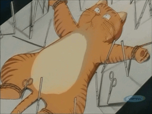 ezgif 2e6fc369e69a8c.gif
