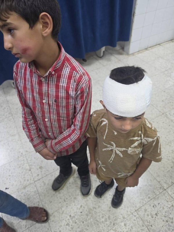 صورة الخبر