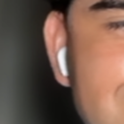 earcrop L2.png