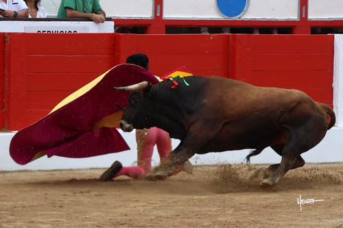 215A0959.jpg