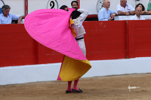 215A1661.jpg