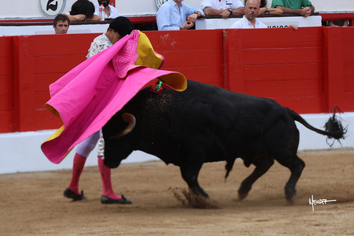 215A1670.jpg