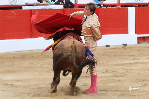 215A1445.jpg