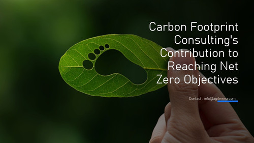 Carbon footprint.jpg