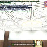 1000036873