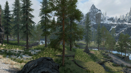 Trees.jpg