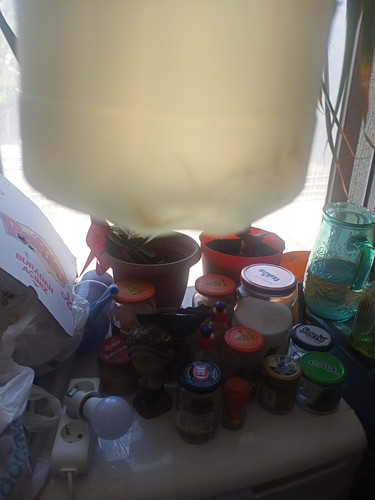 IMG20260718151053.jpg