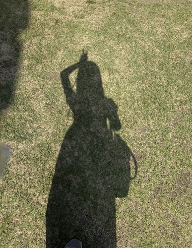 IMG 7620.jpg