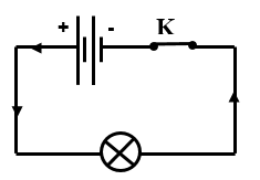 5 1591640237.png