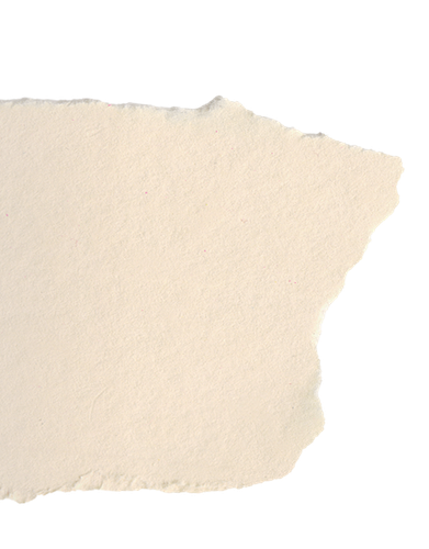 txzz1.png