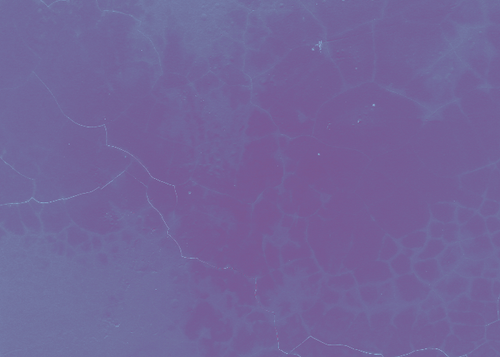 temp.png