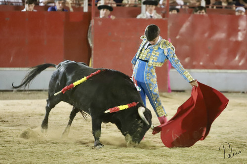 image00034