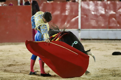 image00009