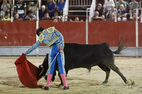 image00013