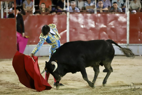 image00010