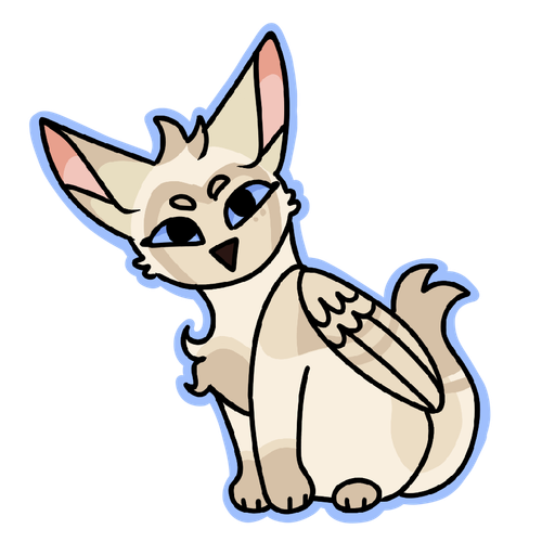 IMG 8731.png