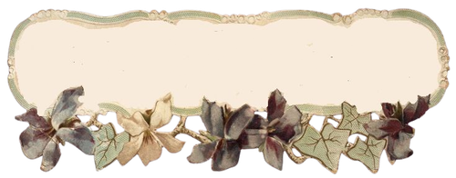 a0f8aba0c0865a43434f86c73f672e45 removebg preview.png