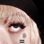 cover.png