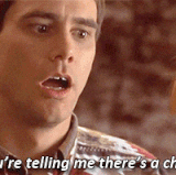 giphy (61).gif
