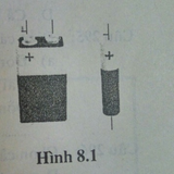 cau 289.png