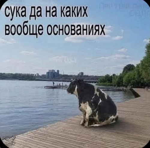 1784362108 313946816.jpg