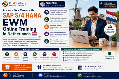 sap s4 ewm Online in neatherlands.png