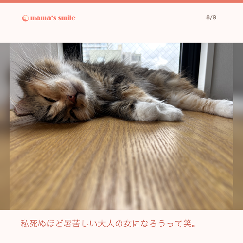 48cd372740e5.png