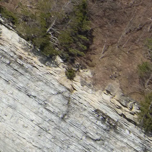 886fe41b158a.webp