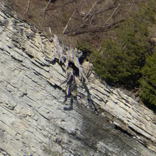 3833e07f0812.webp