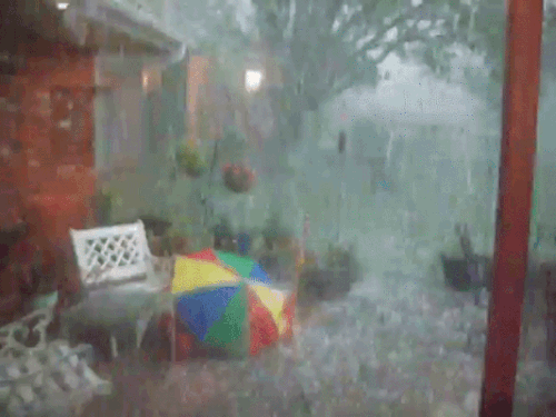 storm1.gif