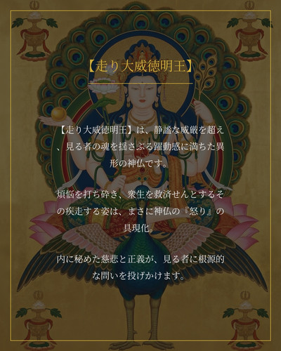 6c80cd3713e5.jpg