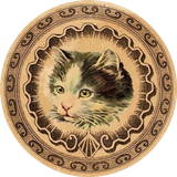 d6911a3412374ce0b08f0605e6d8efbe removebg preview.png