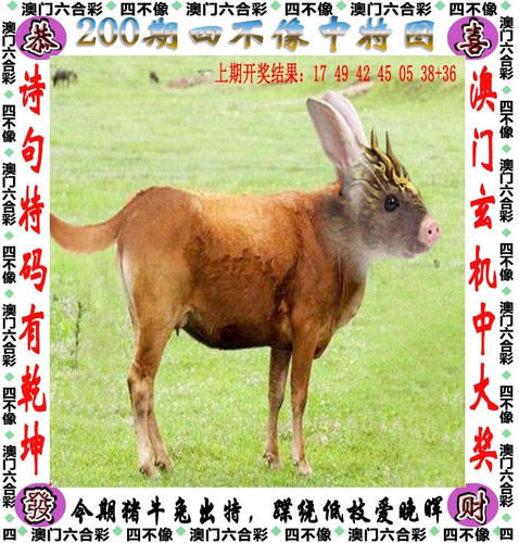 amsbx.jpg