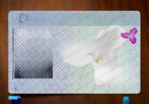temp.png