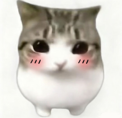 Screenshot.jpg