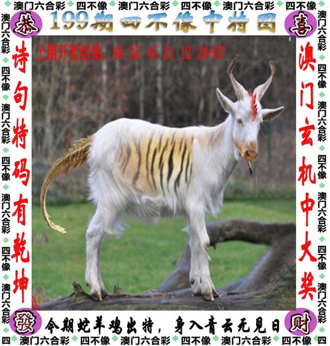 amsbx.jpg