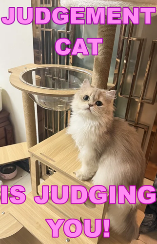 judgement catFIN.png