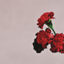 ef1d14469ccd.png