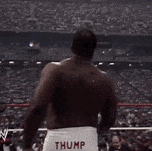 IMG 2777.gif