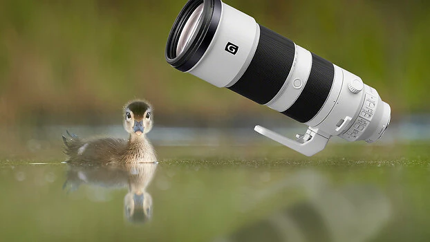Review Sony FE 200-600mm f/5.6-6.3 G OSS: Có đáng mua 2024? - Hình 1