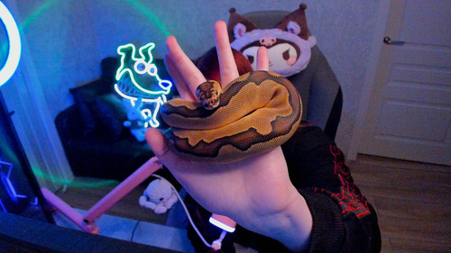 twix.jpg