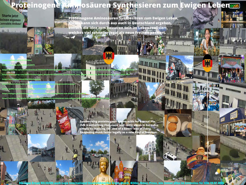 IMG 0000 Proteinogene Aminosäuren Synthesieren zum Ewigen Leben (DJ Bundesregierung) (18.07.2026).JP.jpg
