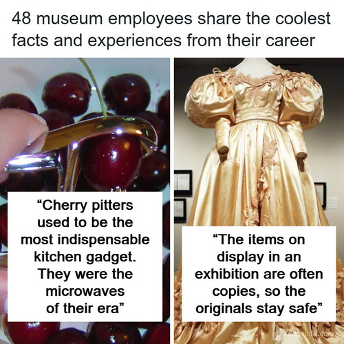museum workers share coolest things facts.jpg