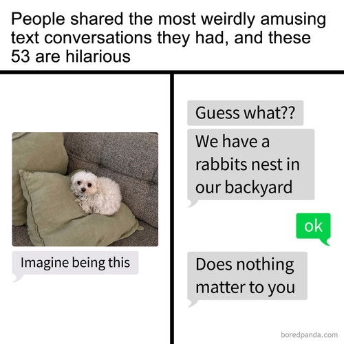 weird dms texts.jpg