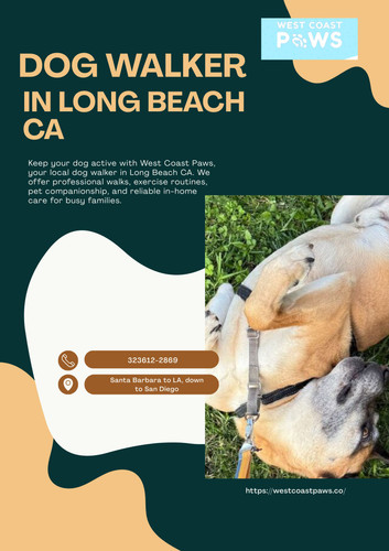 Dog Walker in Long Beach CA.jpg