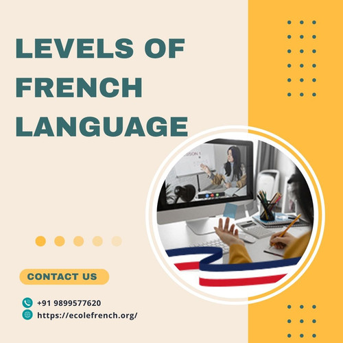 Best Learning Plan for Every Level of French Language.jpg