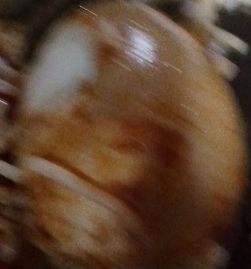 temp.png