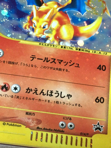 holo bleed.jpg